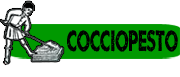 IL COCCIOPESTO